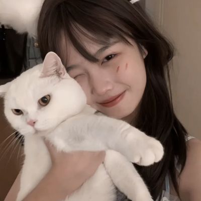 BOB半岛·中国官方网站入口截图